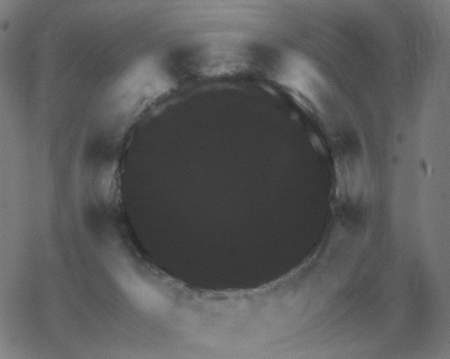 X0000068890029200605122045