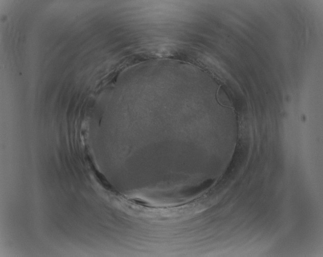 X0000068890030200605122045