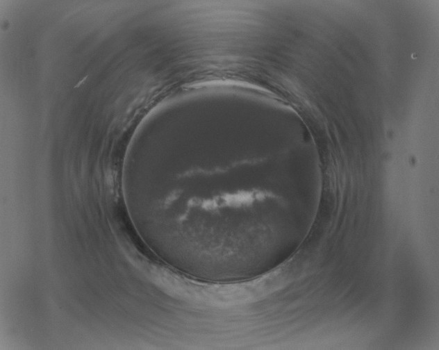 X0000068890031200605122045