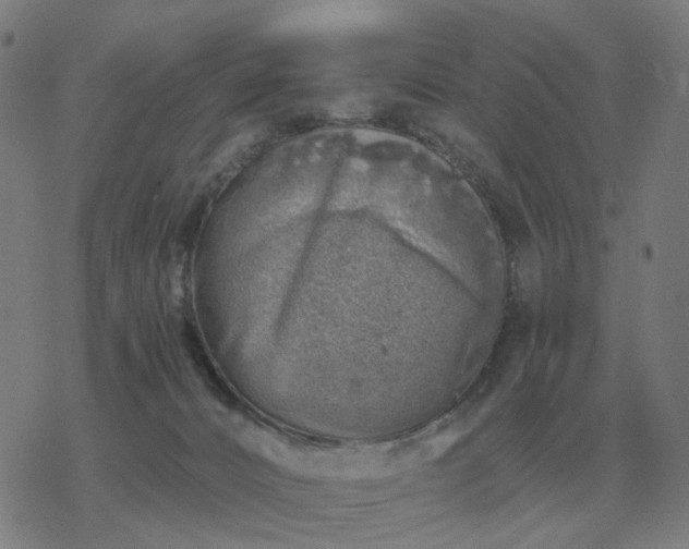 X0000068890032200605122045