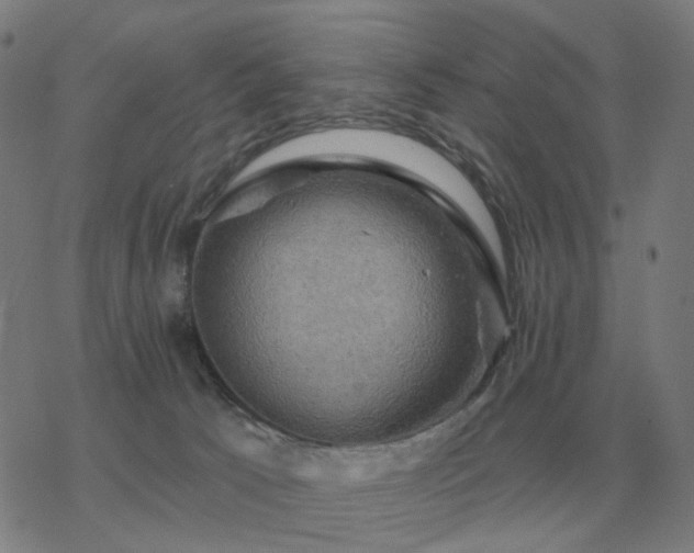 X0000068890033200605122045