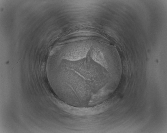 X0000068890034200605122045