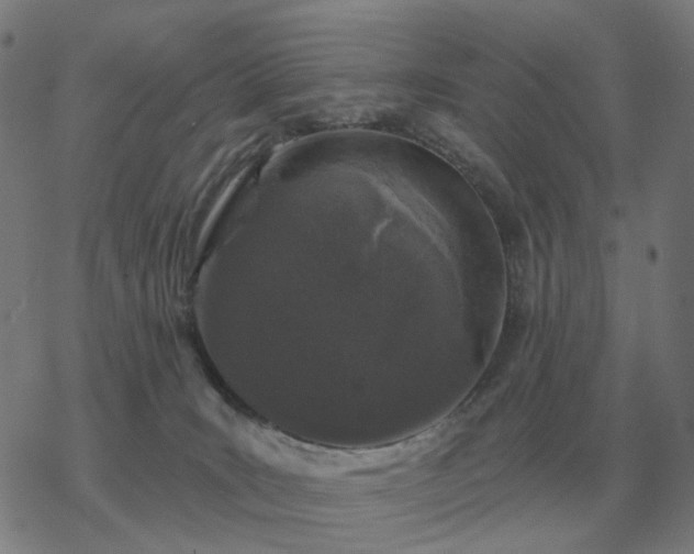 X0000068890035200605122045