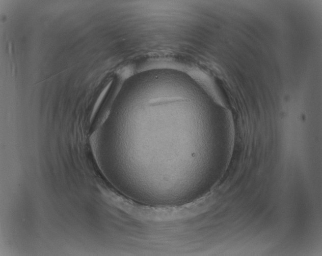 X0000068890037200605122045