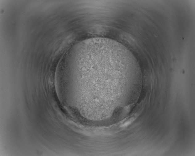 X0000068890040200605122045