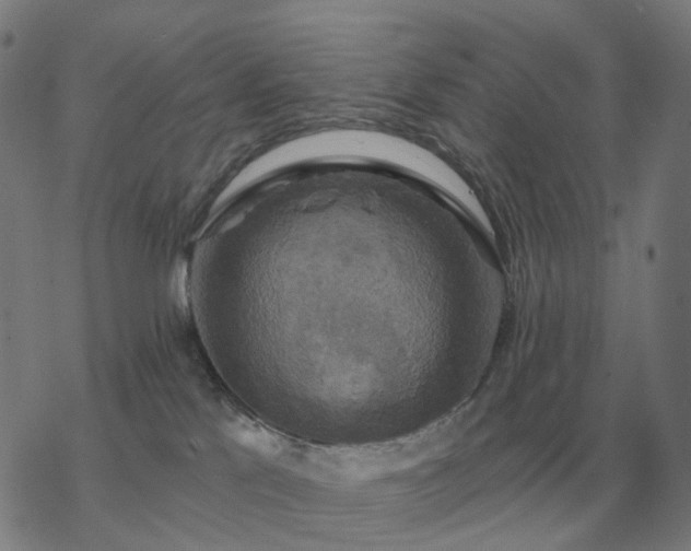 X0000068890041200605122045