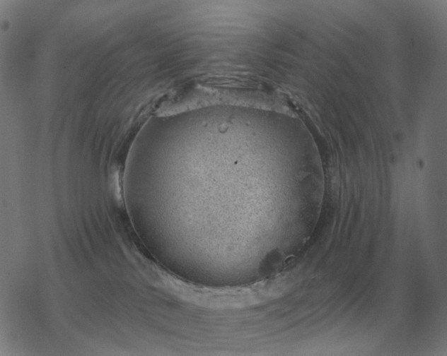 X0000068890042200605122045