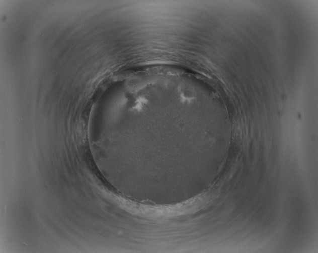 X0000068890043200605122045