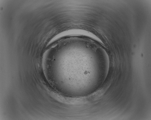 X0000068890044200605122045