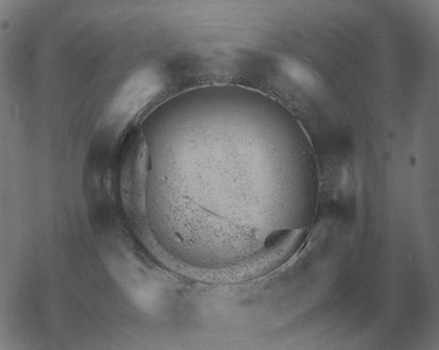 X0000068890045200605122045