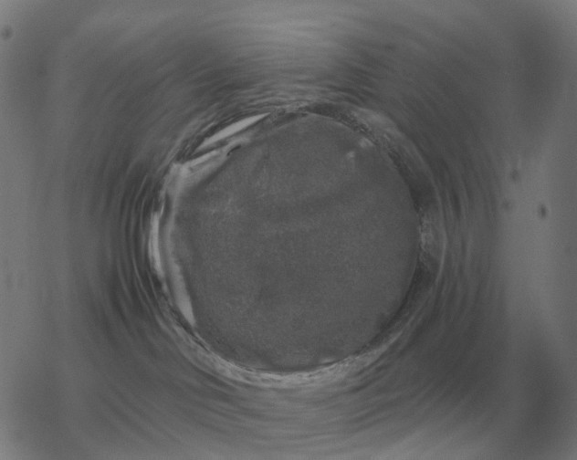 X0000068890046200605122045