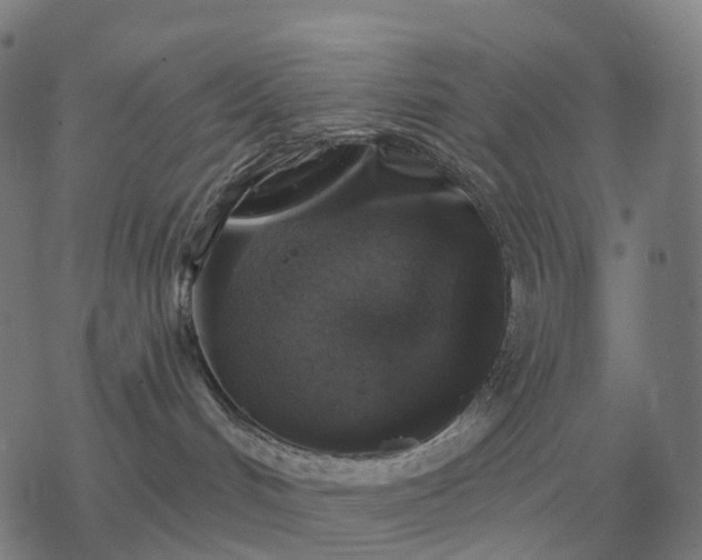 X0000068890048200605122045