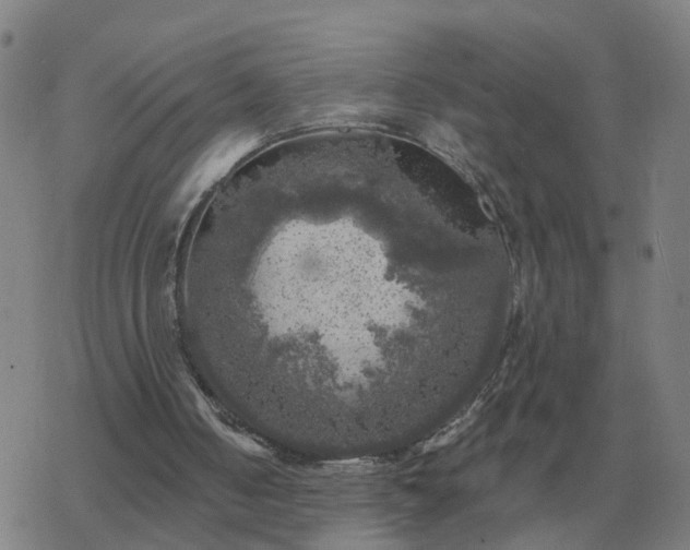 X0000068890050200605122044