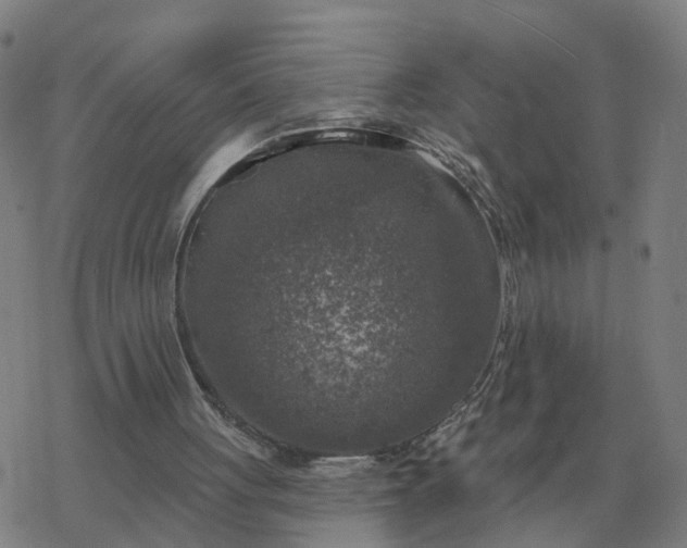 X0000068890051200605122044