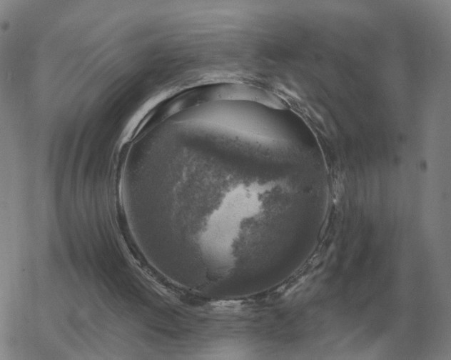 X0000068890052200605122044