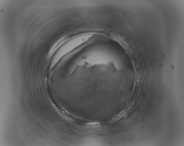 X0000068890053200605122044