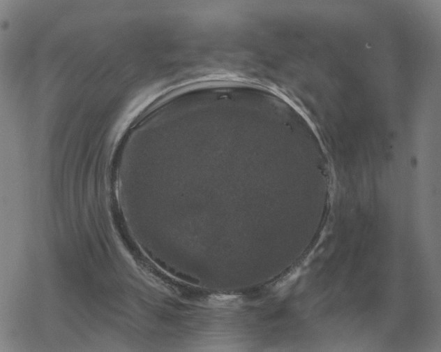 X0000068890055200605122044