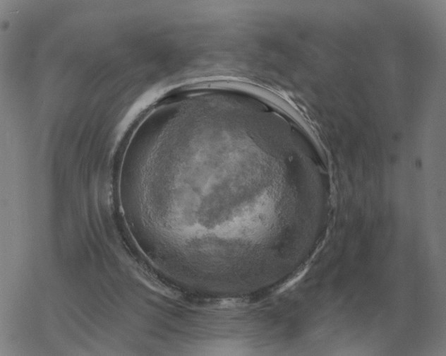 X0000068890056200605122044