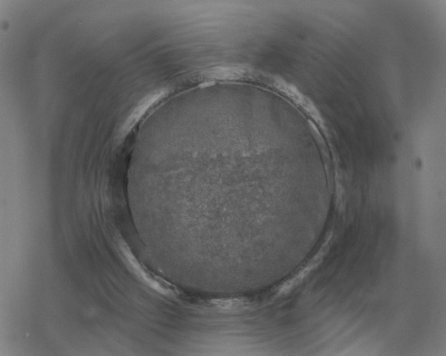 X0000068890057200605122044