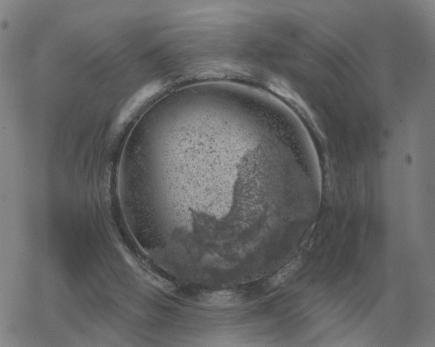 X0000068890058200605122044