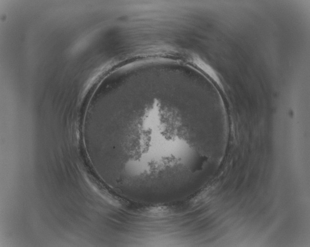 X0000068890059200605122044