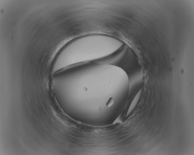 X0000068890060200605122044