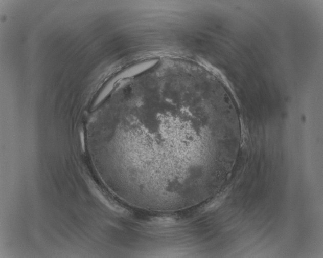 X0000068890061200605122044