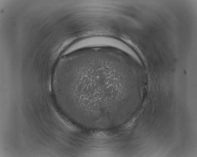 X0000068890062200605122044