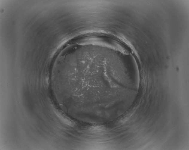 X0000068890063200605122044