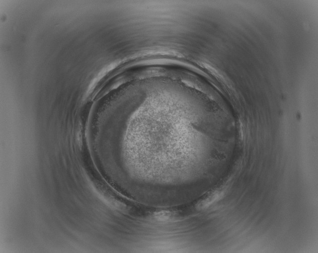 X0000068890064200605122044