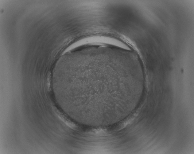 X0000068890065200605122044