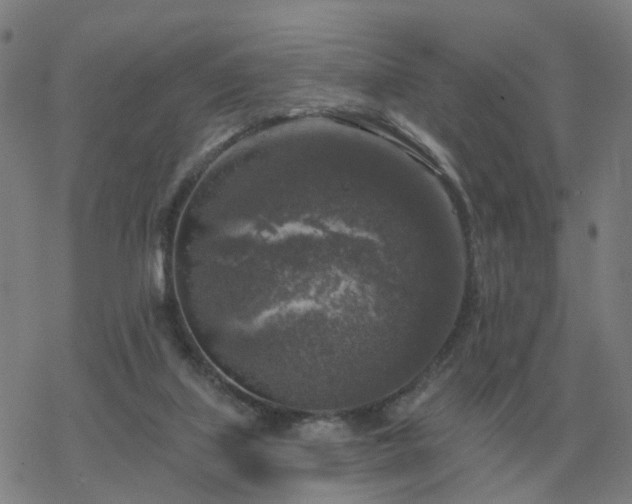 X0000068890067200605122044