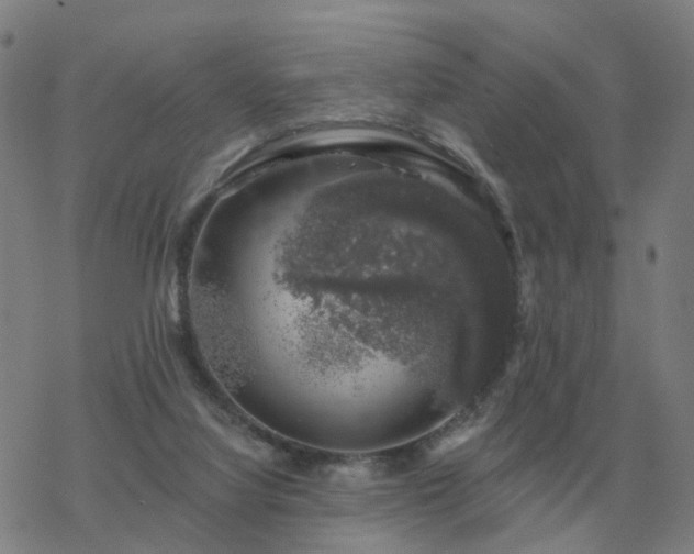 X0000068890068200605122044