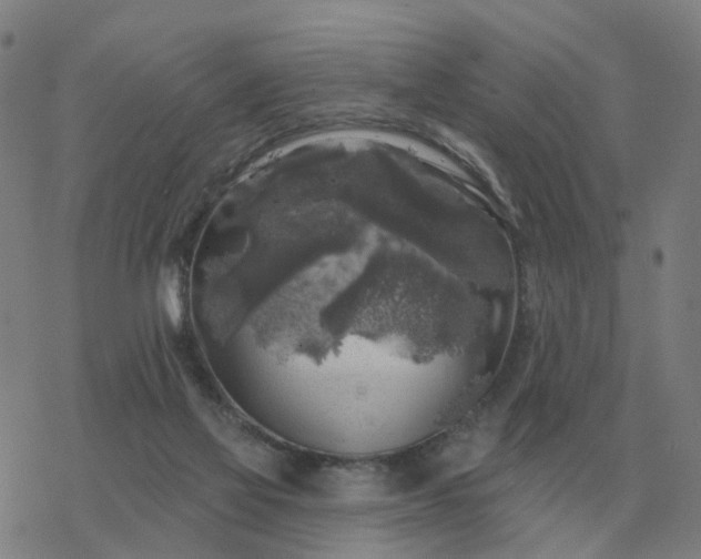 X0000068890069200605122044