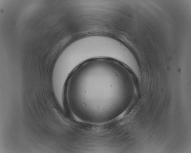 X0000068890070200605122044