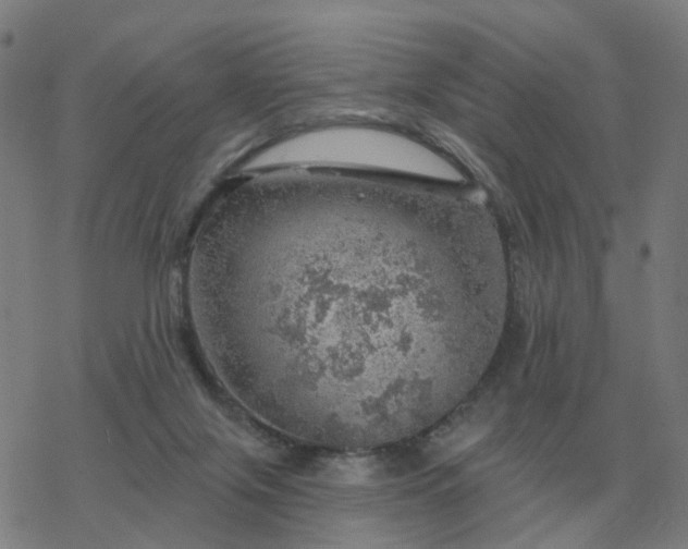 X0000068890071200605122044