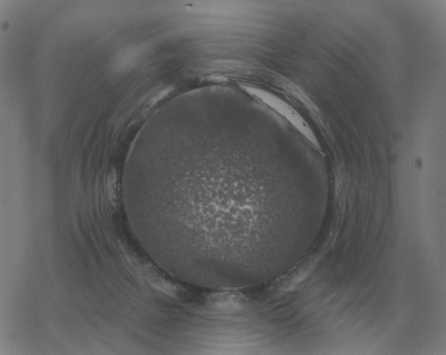 X0000068890073200605122044