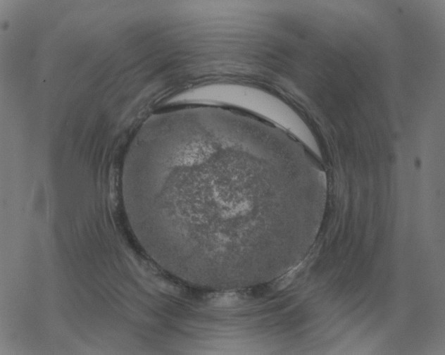 X0000068890074200605122044