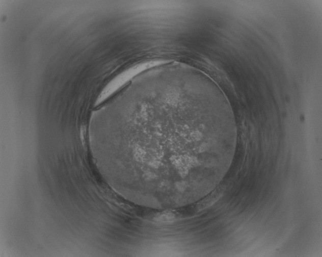 X0000068890075200605122044