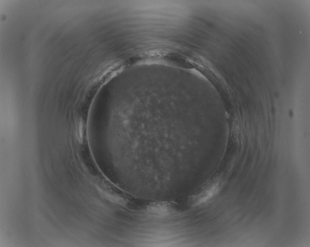 X0000068890076200605122045