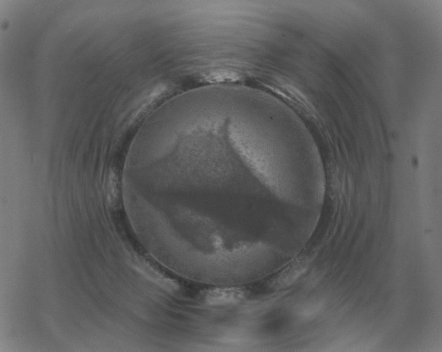 X0000068890077200605122045