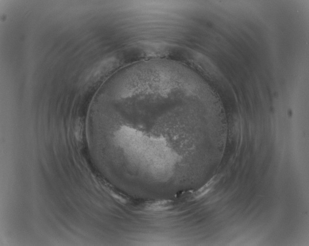 X0000068890078200605122045