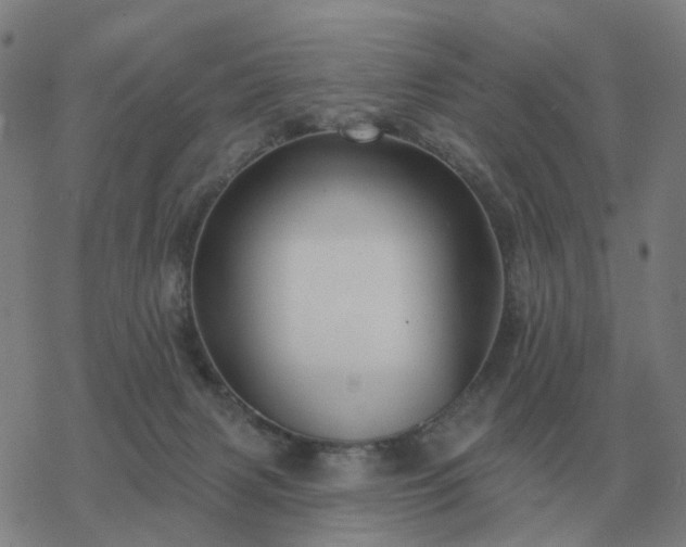 X0000068890079200605122045