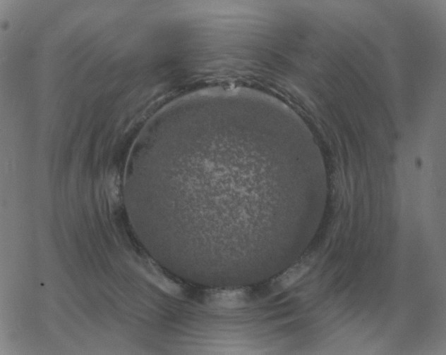 X0000068890081200605122045