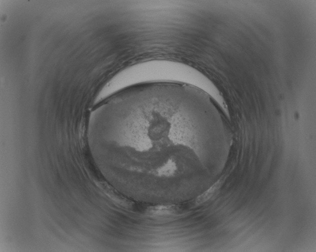 X0000068890082200605122045