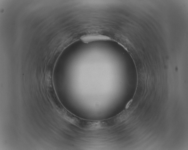 X0000068890083200605122045