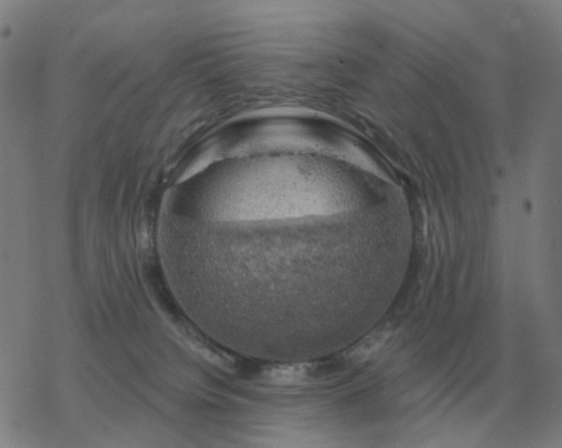 X0000068890084200605122045