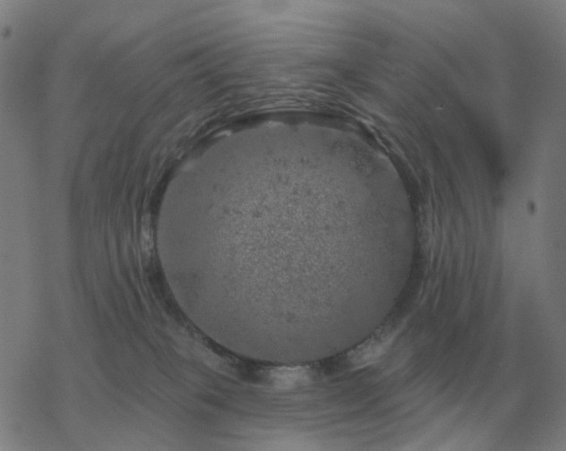 X0000068890085200605122045