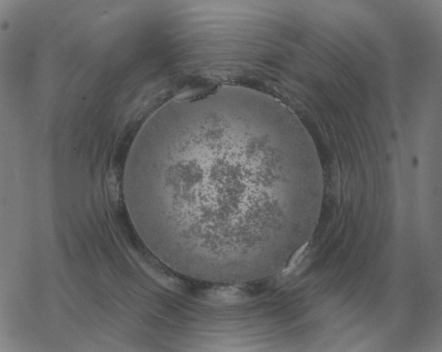 X0000068890086200605122045