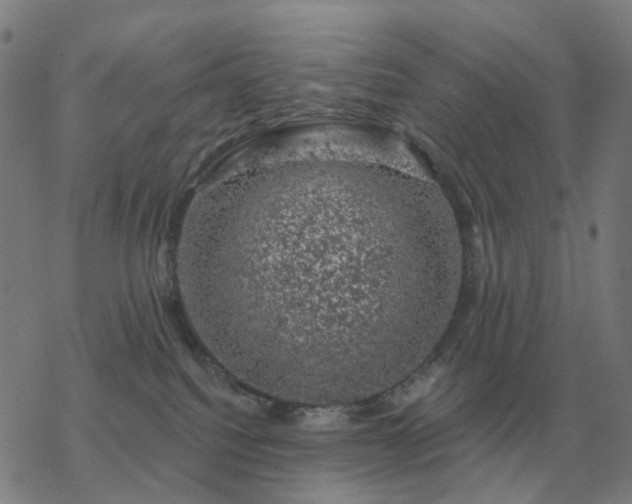 X0000068890088200605122045